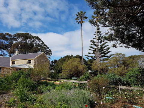 Strawberry Hill - Stayed 1