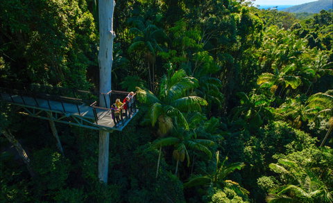 Tamborine Rainforest Skywalk - Stayed 0