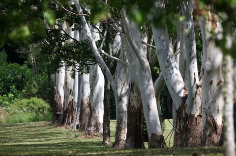 Teven Valley Golf Course - Stayed 1