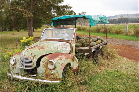 The Burnett Circle - Stayed 1