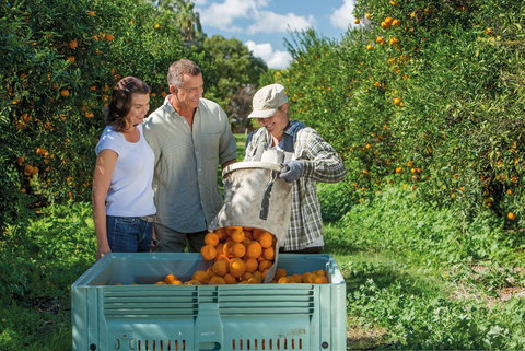 The Burnett Circle - Stayed 2