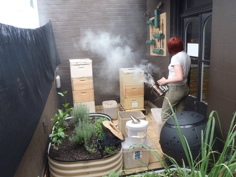 The Urban Beehive Port Botany - Stayed 0