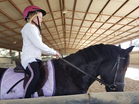 The Equine Club - Stayed 1
