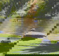 The Lions Junction Park - Tumut - Stayed