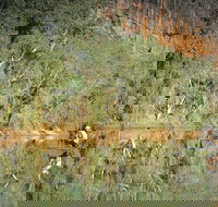 Time Walk Windjana Gorge National Park - Stayed