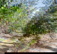 Tip to Tail Trail - Stayed