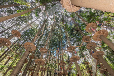 TreeTops Sydney The Hills - Stayed 1