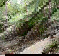 Upper Yarra Reservoir Park - Stayed