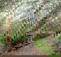 Venman Bushland National Park - Stayed