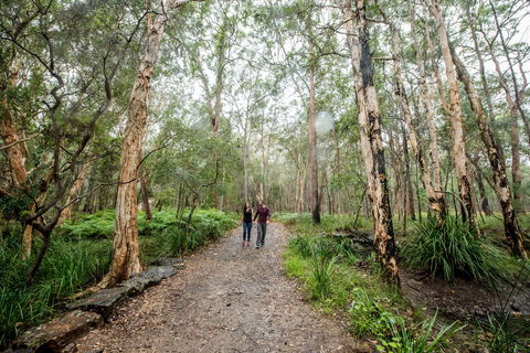 Venman Bushland National Park - Stayed 0