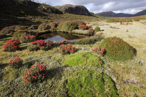 Walls Of Jerusalem National Park - Stayed 1