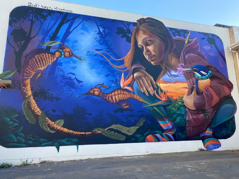 Walk The Walls Cronulla Street Art Trail - Stayed 0