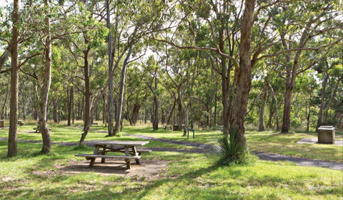 Wollomombi Gorge And Falls Picnic Area - Stayed 0