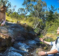 Yackandandah Gorge Scenic Walk