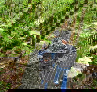 Yarra Ranges National Park - Stayed