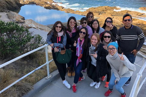 Sapphire Coast Highlights Tour (private Tour From Port Of Eden) - Stays Accommodation 5