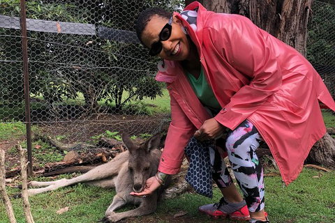 Sapphire Coast Highlights Tour (private Tour From Port Of Eden) - Stays Accommodation 11