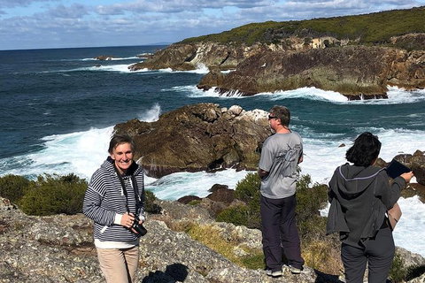 Sapphire Coast Highlights Tour (private Tour From Port Of Eden) - Stays Accommodation 9