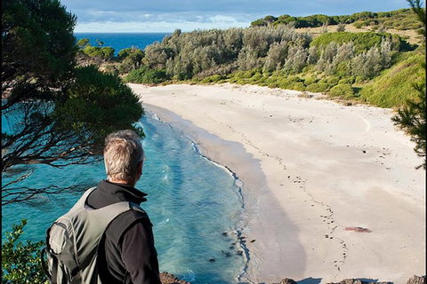 Sapphire Coast Highlights Tour (private Tour From Port Of Eden) - Stays Accommodation 14