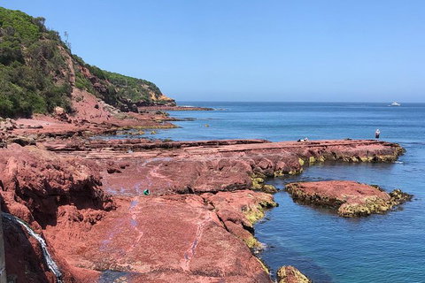 Sapphire Coast Highlights Tour (private Tour From Port Of Eden) - Stays Accommodation 7