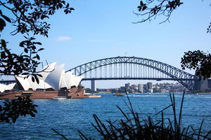 Private Sydney Half Day Tour including Sydney Opera House and Bondi Beach