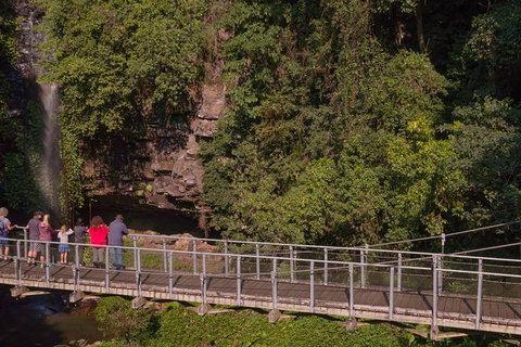 Rainforest & Waterfall Experience - Stayed 4