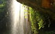 Rainforest & Waterfall Experience - thumb 9