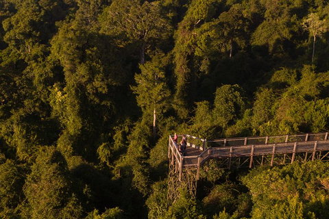 Rainforest & Waterfall Experience - Stayed 5