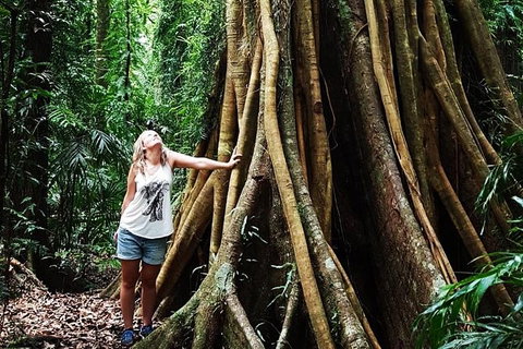 Rainforest & Waterfall Experience - Stayed 3