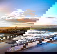 Burdekin River Bridge - Stayed
