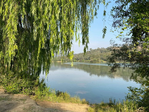 Eildon Pondage Walk - Stayed 1