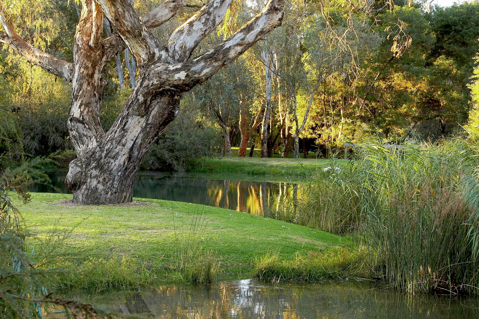Gateway Island VIC Stayed