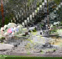 Maroochy Regional Bushland Botanic Garden - Stayed