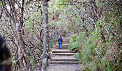 Princes Rock Walking Track - Stayed 0