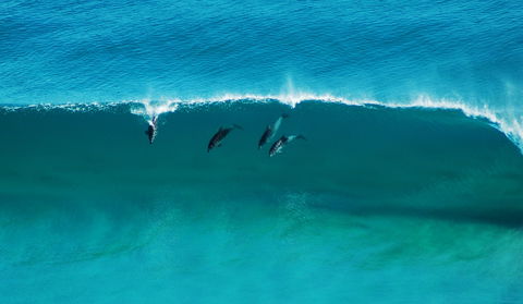 Sand Patch - Stayed 1