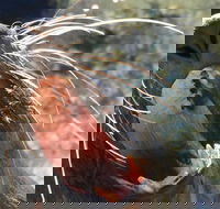 Narooma and Tilba Valley Private Tour - Stayed