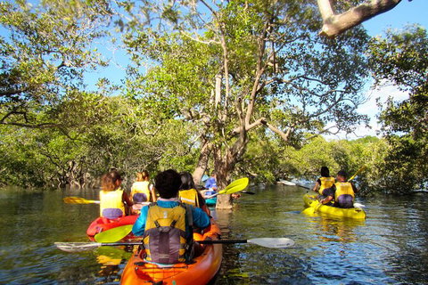 2-Hour Rental Kayak Double In Brunswick River - Stayed 2