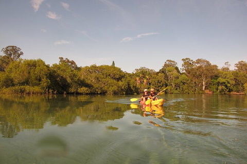 2-Hour Rental Kayak Double In Brunswick River - Stayed 5