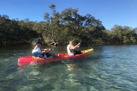 2-Hour Rental Kayak Double In Brunswick River - Stayed 4