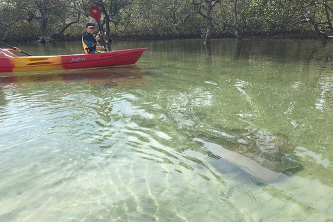 2-Hour Rental Kayak Double In Brunswick River - Stayed 6