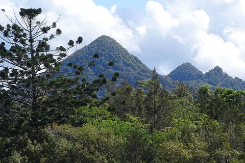 Byron Bay Rainforest Eco-Cruise - Stayed 3