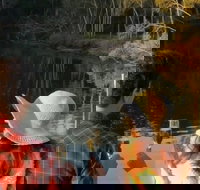 Byron Bay Sunset Rainforest Eco-Cruise - Stayed