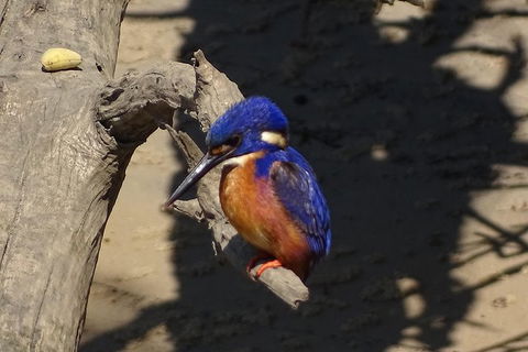 Byron Bay Sunset Rainforest Eco-Cruise - Stayed 3