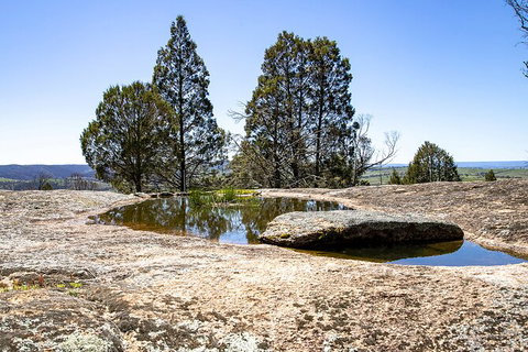 Bathurst Wine Trail Full-Day Private Tour With Tastings - Stayed 5