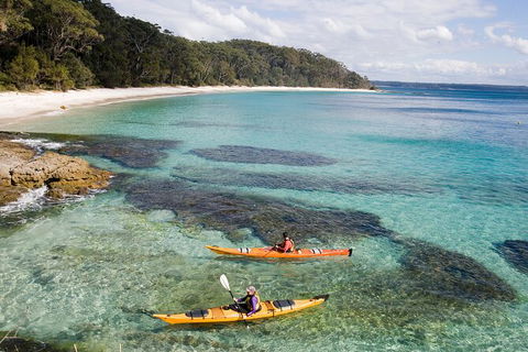 Half-Day Jervis Bay Sea Kayak Tour - Stayed 0
