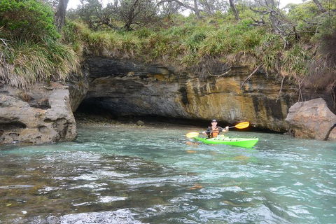 Half-Day Jervis Bay Sea Kayak Tour - Stayed 8