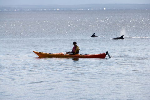 Half-Day Jervis Bay Sea Kayak Tour - Stayed 4