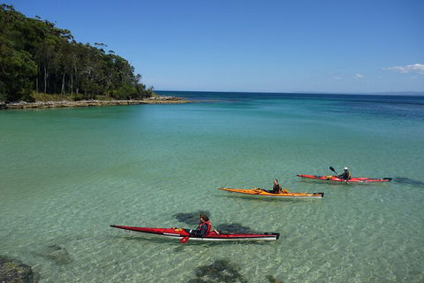 Half-Day Jervis Bay Sea Kayak Tour - Stayed 3
