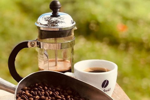 Coffee Farm Tour And Workshop, Byron Bay Hinterland - Stayed 0
