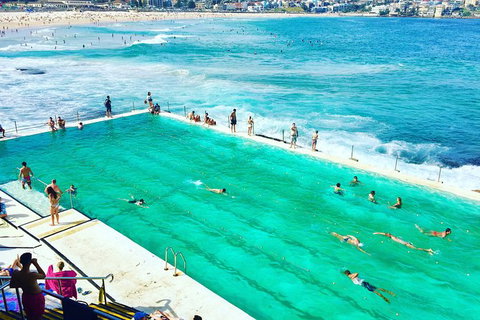 Sydney City, Harbour And Bondi All Inclusive Private Bus Tour, Included Transfer - Stays Accommodation 3